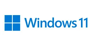 Windows 11