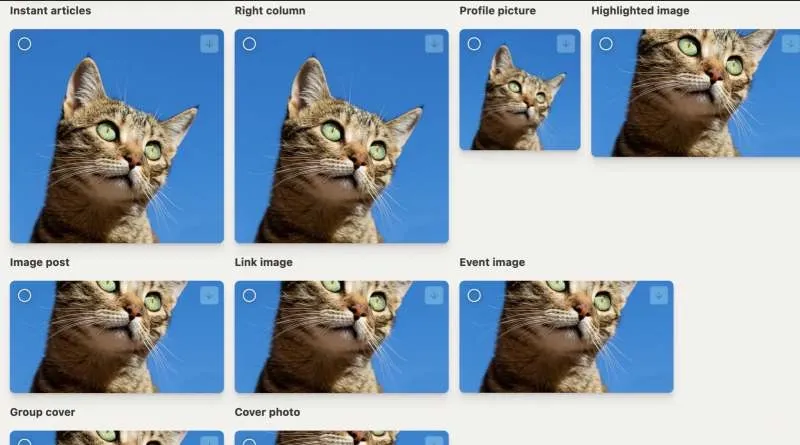 RedIMG: El Optimizador de Imágenes por Lotes Más Rápido y Preciso
